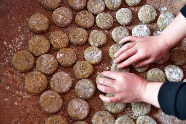 錫安：我覺得最強的扣將是喬丹