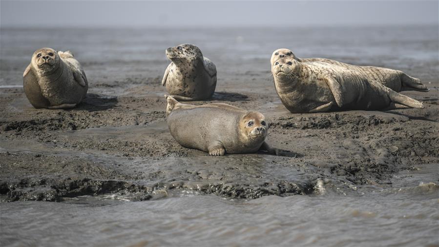 2021馬刺隊(duì)球員名單及分析