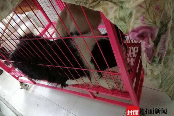 問候非遺文！點(diǎn)觸科技“南音秀”嗨翻2020ChinaJoy！