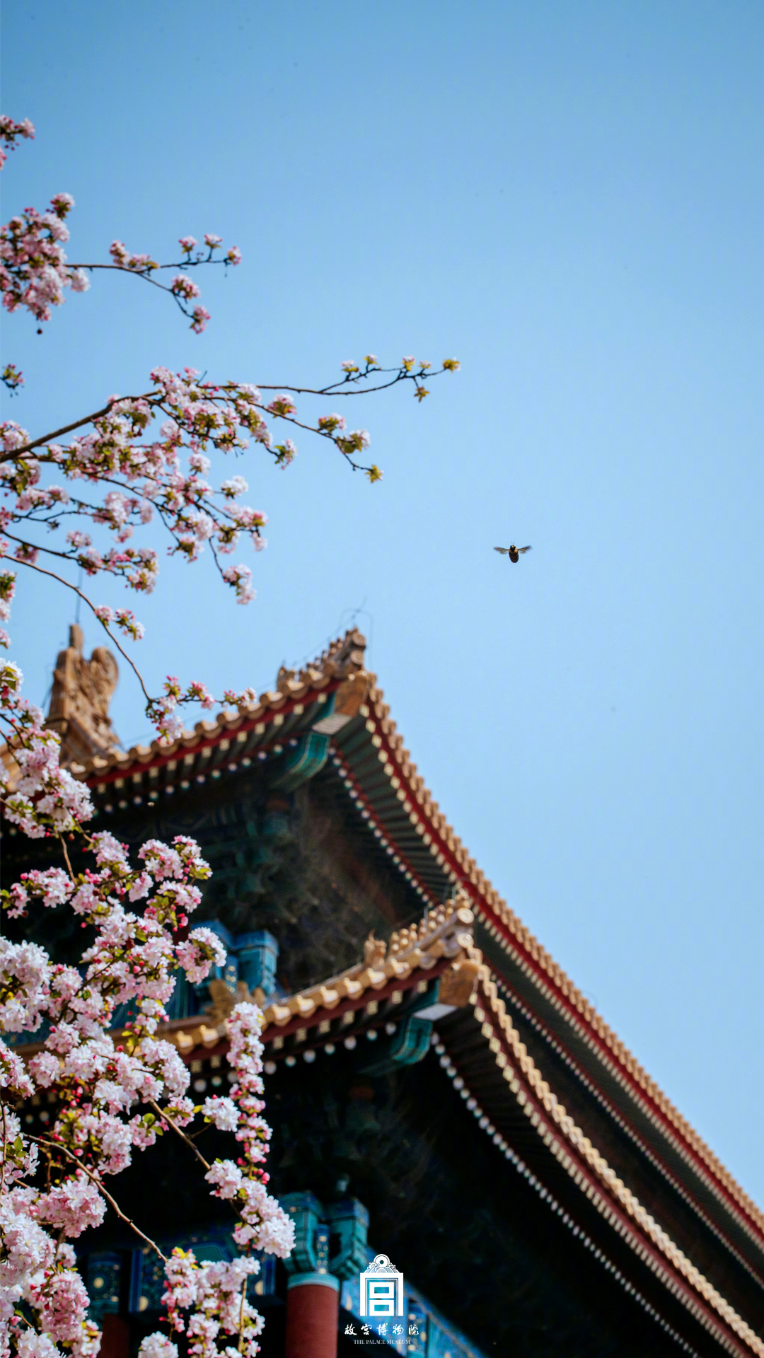 顏文字怎樣打  搜狗輸入法怎樣快速打顏文字