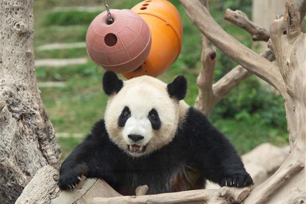 win10 10537???????? win10 10537????????