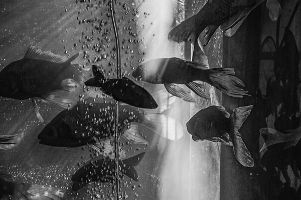 科爾談克萊要害三分接連不中：這便是克萊的風(fēng)格 他總會(huì)出手