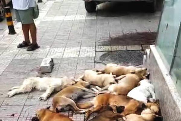 庫里：沒人會去慶祝今天的勝利 我們要為接下來的比賽做好準備