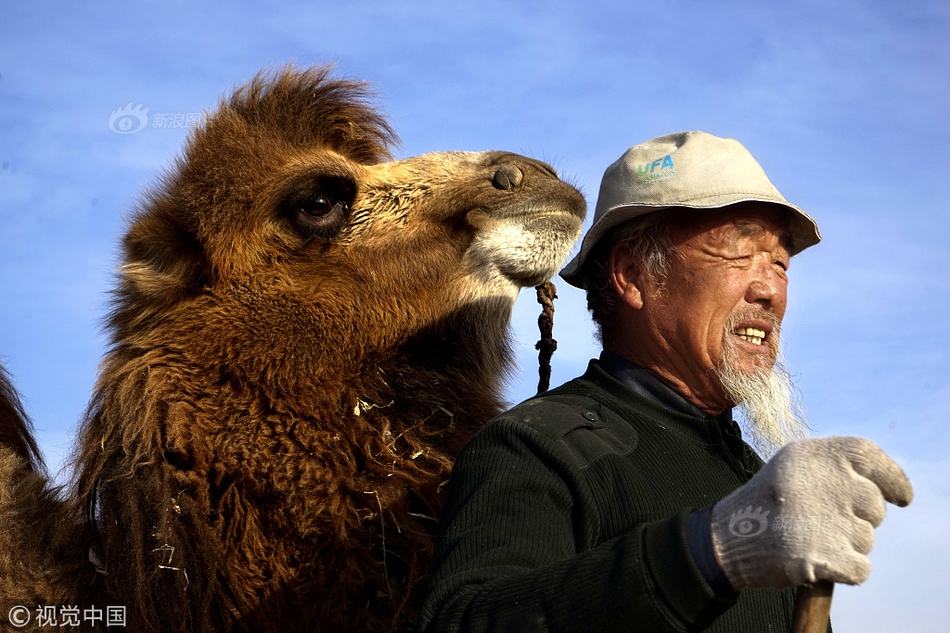 12架“云影”“翼龍”齊飛 國產(chǎn)中大型無人機(jī)首次公開集群亮相